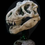 SA5043 – STAR ACE – Wonders of the Wild Series – Tyrannosaurus Rex Skull Fossil